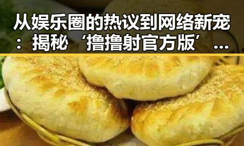 从娱乐圈的热议到网络新宠：揭秘‘撸撸射官方版’的崛起与反差