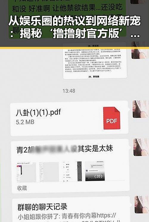 从娱乐圈的热议到网络新宠：揭秘‘撸撸射官方版’的崛起与反差