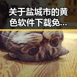 关于盐城市的黄色软件下载免费版介绍