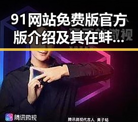 91网站免费版官方版介绍及其在蚌埠市的应用现状