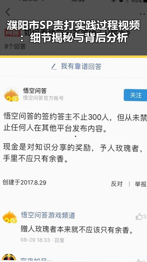 濮阳市SP责打实践过程视频：细节揭秘与背后分析