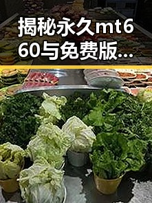 揭秘永久mt660与免费版：选择指南与实用建议