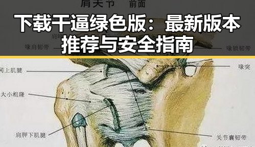 下载干逼绿色版：最新版本推荐与安全指南