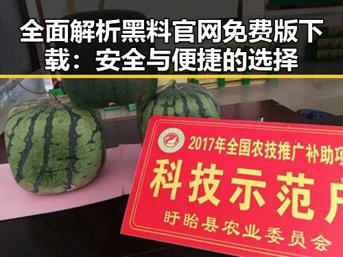 全面解析黑料 官网免费版下载：安全与便捷的选择