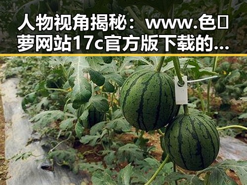 人物视角揭秘：www.色😍萝网站17c官方版下载的最新动态