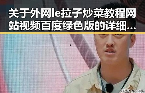 关于外网le拉子炒菜教程网站视频百度绿色版的详细解析