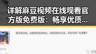 详解麻豆视频在线观看官方版免费版：畅享优质内容新体验