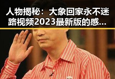 人物揭秘：大象回家永不迷路视频2023最新版的感人瞬间