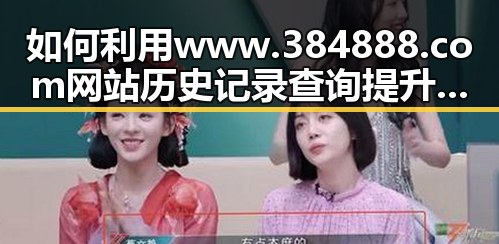 如何利用www.384888.com网站历史记录查询提升信息追溯能力