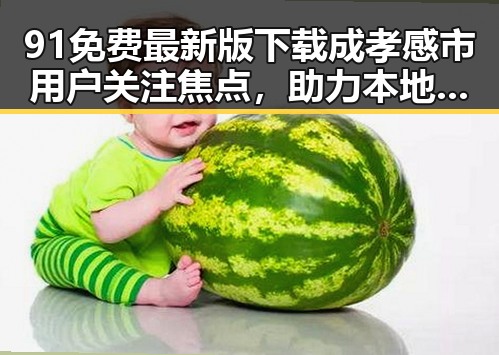 91免费最新版下载成孝感市用户关注焦点，助力本地数字化发展