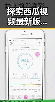 探索西瓜视频最新版下载：畅享高清视频的最佳选择