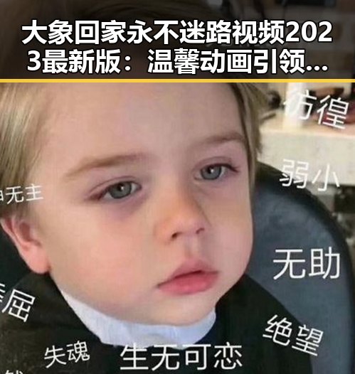 大象回家永不迷路视频2023最新版：温馨动画引领宠物归家新体验