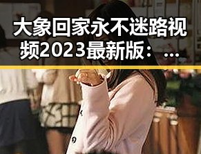 大象回家永不迷路视频2023最新版：温馨动画引领宠物归家新体验
