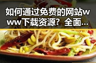 如何通过免费的网站www下载资源？全面指南解析