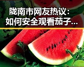陇南市网友热议：如何安全观看茄子视频？