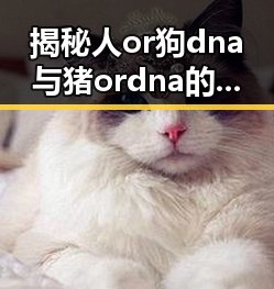 揭秘人or狗dna与猪ordna的配合与防治官方版：最新科技动态