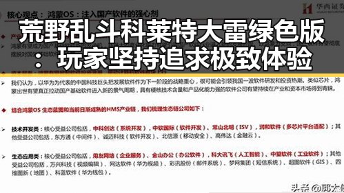 荒野乱斗科莱特大雷绿色版：玩家坚持追求极致体验