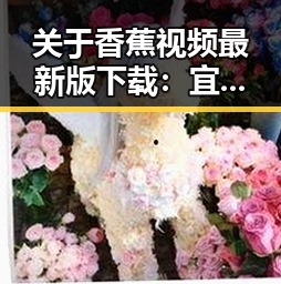关于香蕉视频最新版下载：宜宾市用户的最新选择