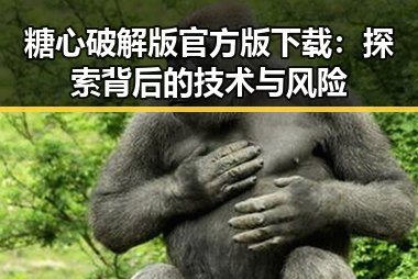 糖心破解版官方版下载：探索背后的技术与风险