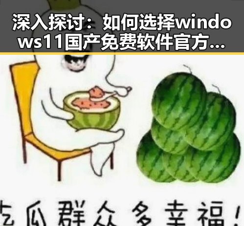 深入探讨:如何选择windows11国产免费软件官方版以保障系统安全