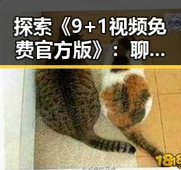 探索《9+1视频免费官方版》：聊城市最新在线观看指南