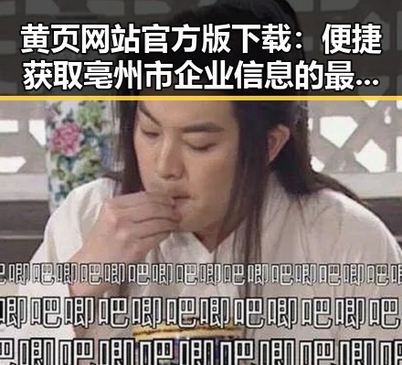 黄页网站官方版下载：便捷获取亳州市企业信息的最佳选择