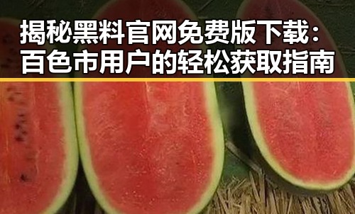 揭秘黑料 官网免费版下载：百色市用户的轻松获取指南