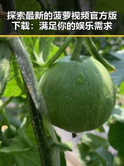 探索最新的菠萝视频官方版下载：满足你的娱乐需求