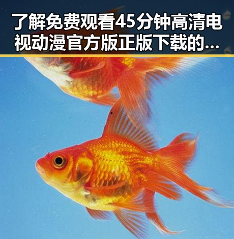 了解 免费观看45分钟高清电视动漫官方版正版下载的最新动态