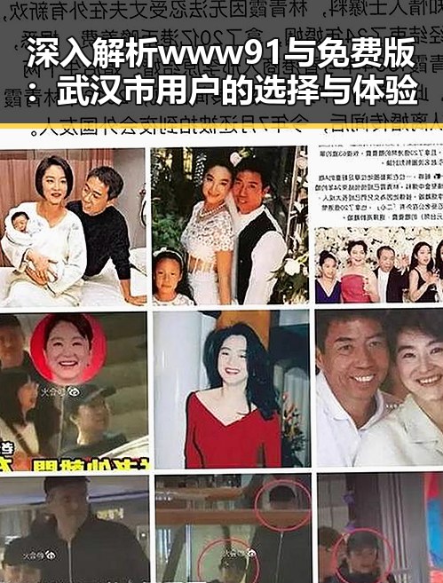 深入解析www91与免费版：武汉市用户的选择与体验