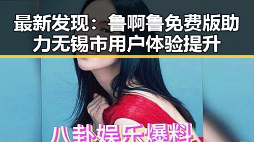最新发现：鲁啊鲁免费版助力无锡市用户体验提升