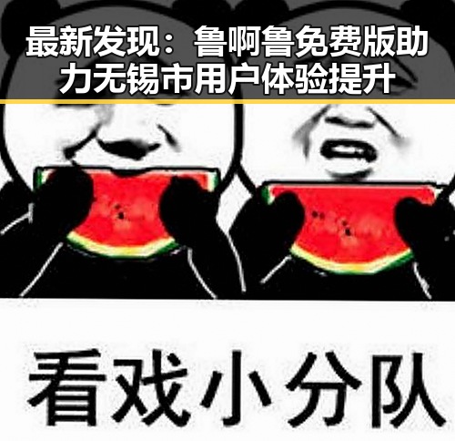 最新发现：鲁啊鲁免费版助力无锡市用户体验提升