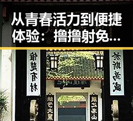 从青春活力到便捷体验：撸撸射免费版下载的现状分析