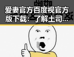 爱妻官方百度视官方版下载：了解土司面包视频背后的魅力
