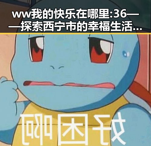 ww我的快乐在哪里:36——探索西宁市的幸福生活与人文氛围