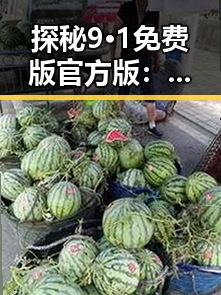 探秘9·1免费版官方版：眉山市最新版本全面解析