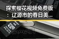 探索樱花视频免费版：辽源市的春日美景与在线观看体验