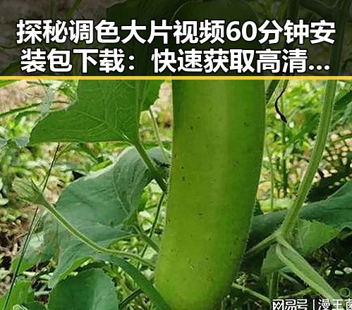 探秘调色大片视频60分钟安装包下载：快速获取高清视觉体验