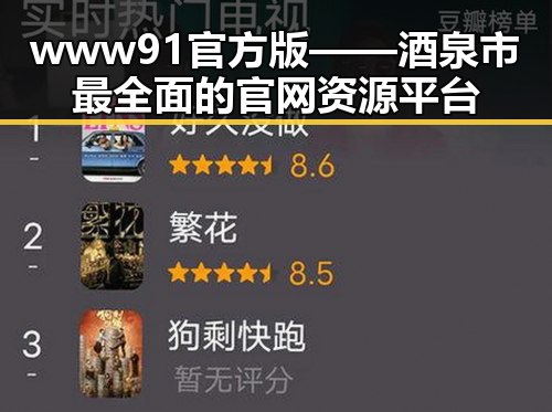www91官方版——酒泉市最全面的官网资源平台