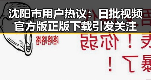 沈阳市用户热议：日批视频官方版正版下载引发关注