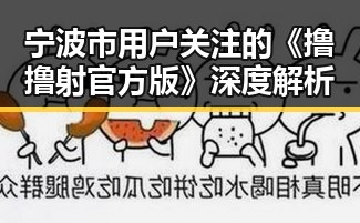 宁波市用户关注的《撸撸射官方版》深度解析