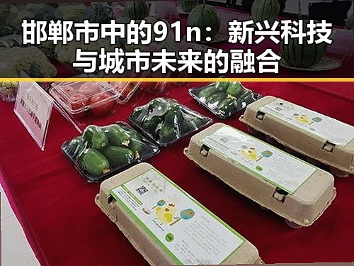 邯郸市中的91n：新兴科技与城市未来的融合
