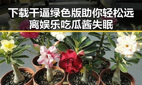 下载干逼绿色版助你轻松远离娱乐吃瓜酱失眠