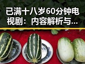 已满十八岁60分钟电视剧：内容解析与观众热议