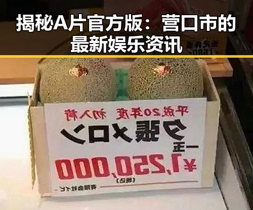 揭秘A片官方版：营口市的最新娱乐资讯