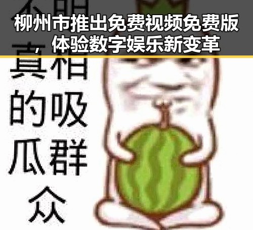 柳州市推出免费视频免费版，体验数字娱乐新变革