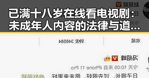 已满十八岁在线看电视剧:未成年人内容的法律与道德界限探析