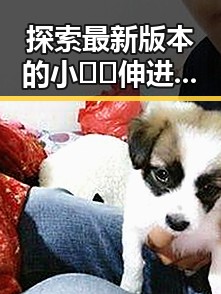 探索最新版本的小🐔🐔伸进🈲🔞🔞官方版:全新体验与发展动态