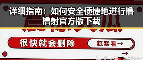 详细指南：如何安全便捷地进行撸撸射官方版下载