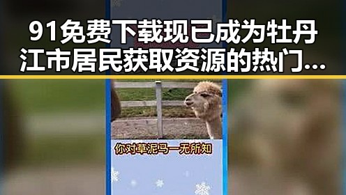 91免费下载现已成为牡丹江市居民获取资源的热门选择
